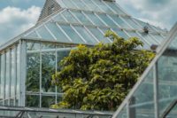 Öko-Pioniere: Grüne Architekten weisen den Weg (Foto: Craig Whitehead, Unsplash)